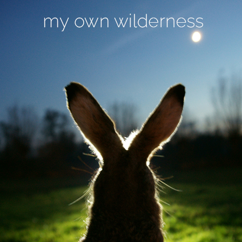 my own wilderness
